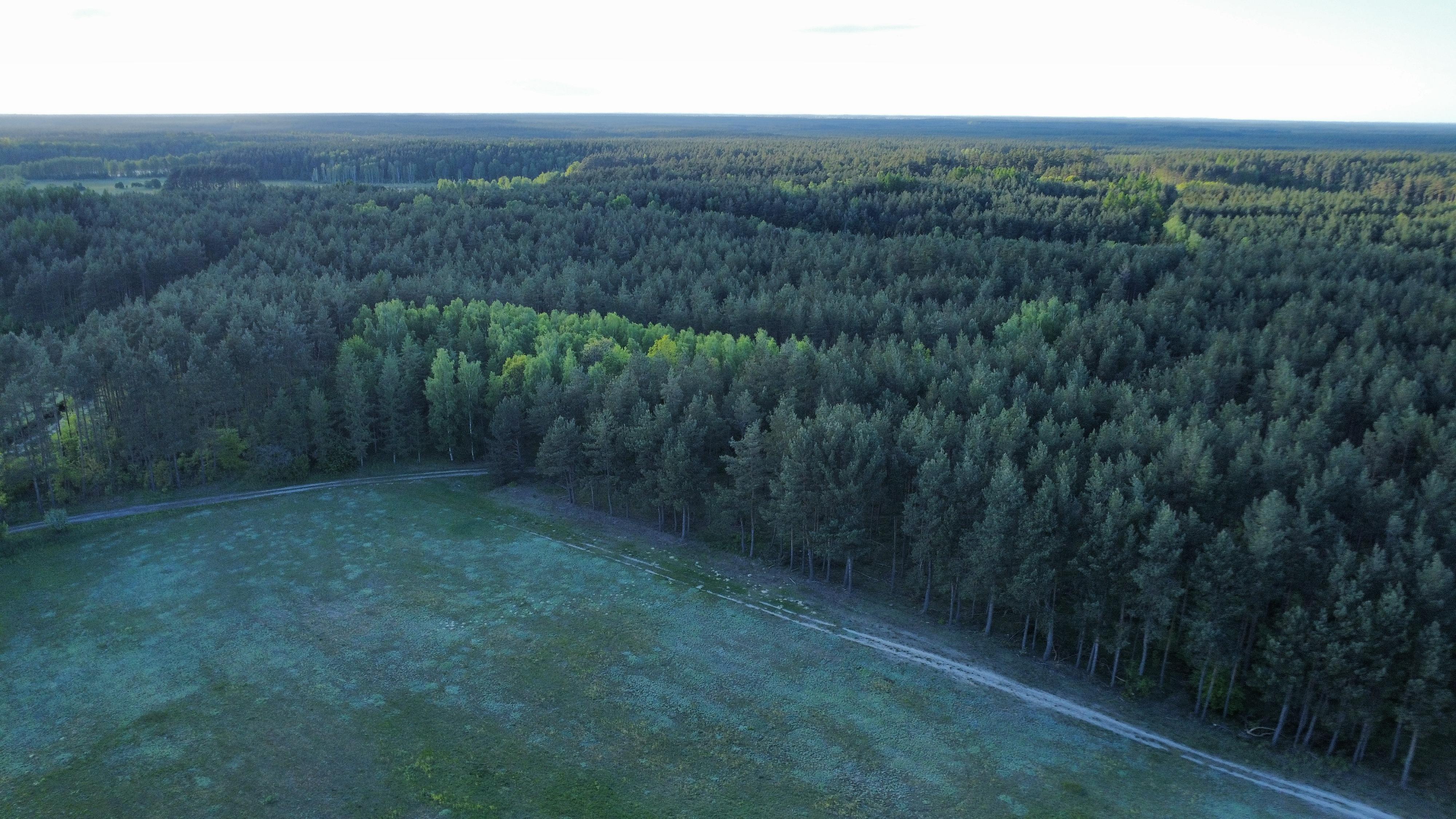 Wspólny spacer 9